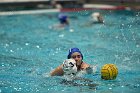 WWPolo vs CC  Wheaton College Women’s Water Polo compete in their sports inaugural match vs Connecticut College. - Photo By: KEITH NORDSTROM : Wheaton, water polo, inaugural